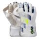 Wicket keeping Gloves